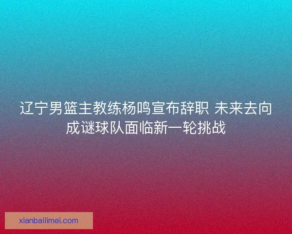 辽宁男篮主教练杨鸣宣布辞职 未来去向成谜球队面临新一轮挑战
