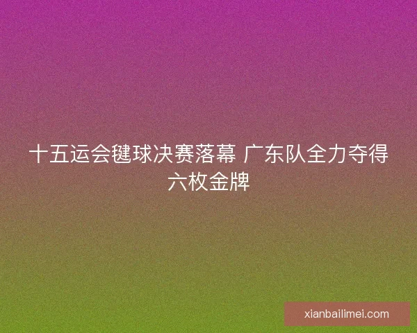 十五运会毽球决赛落幕 广东队全力夺得六枚金牌