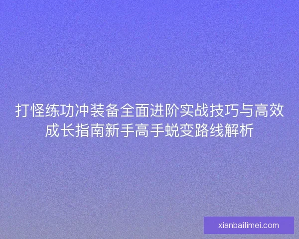 打怪练功冲装备全面进阶实战技巧与高效成长指南新手高手蜕变路线解析 打怪练功冲装备全面进阶实战技巧与高效成长指南新手高手蜕变路线解析