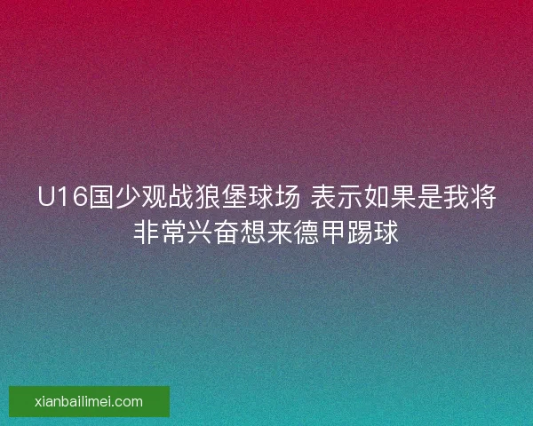 U16国少观战狼堡球场 表示如果是我将非常兴奋想来德甲踢球