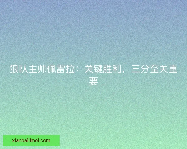 狼队主帅佩雷拉:关键胜利,三分至关重要 狼队主帅佩雷拉:关键胜利,三分至关重要